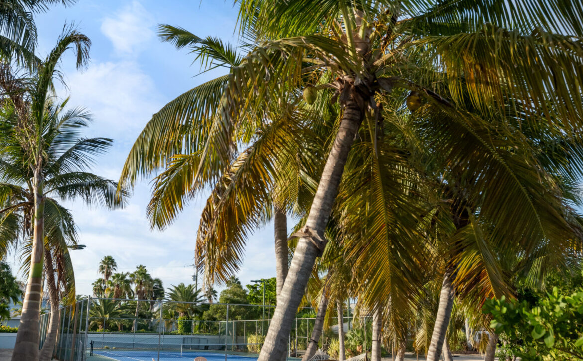 Tennis Homes For Sale