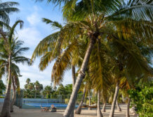 Tennis Homes For Sale
