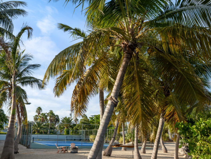 Tennis Homes For Sale