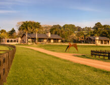 Tennis Homes For Sale