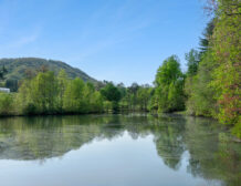 Blue Fish Farm For Sale