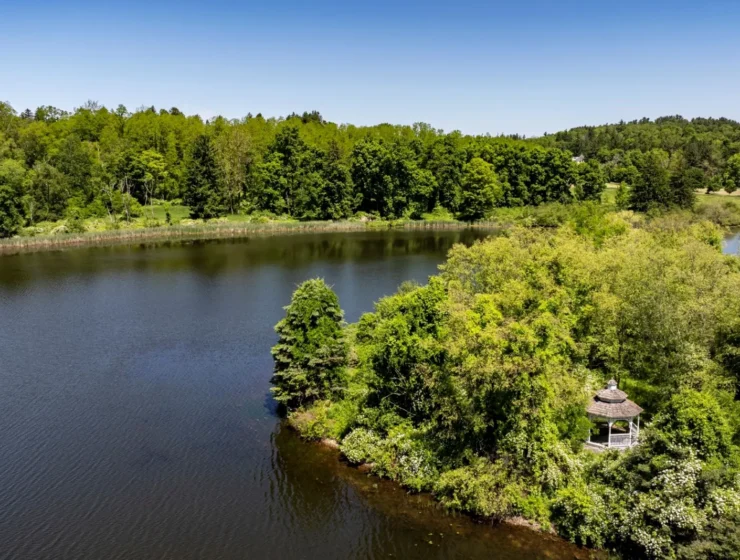 The Hitchcock Estate For Sale
