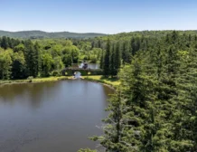 The Hitchcock Estate For Sale