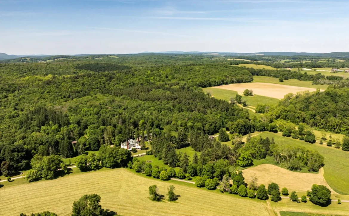 The Hitchcock Estate For Sale