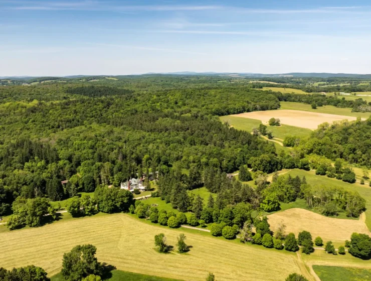 The Hitchcock Estate For Sale