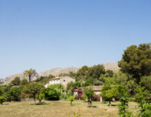 Luxury finca with tennis court in Pollensa