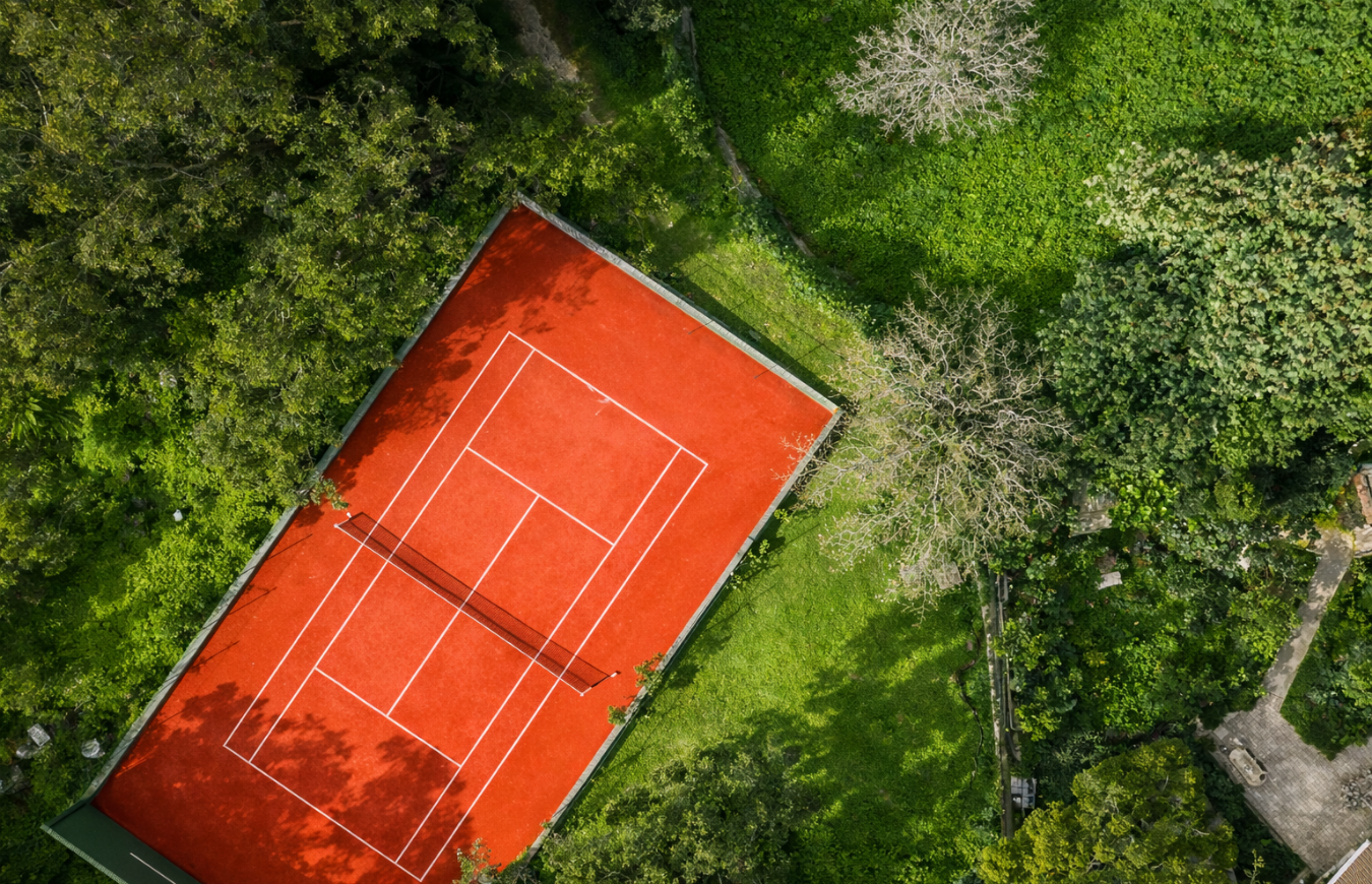 What the Court Tells You About the Estate – other