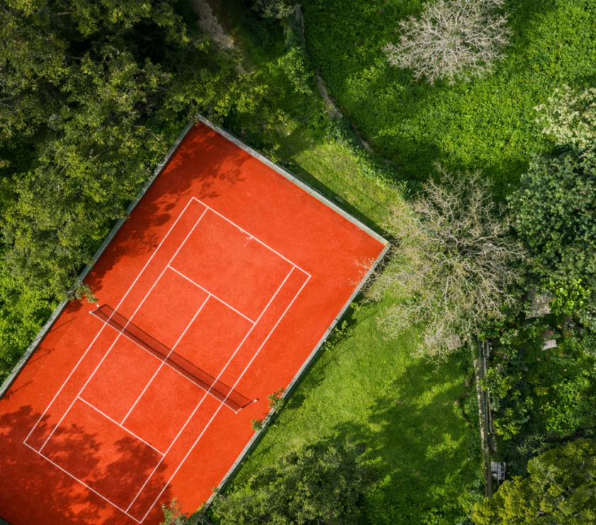 What the Court Tells You About the Estate – other